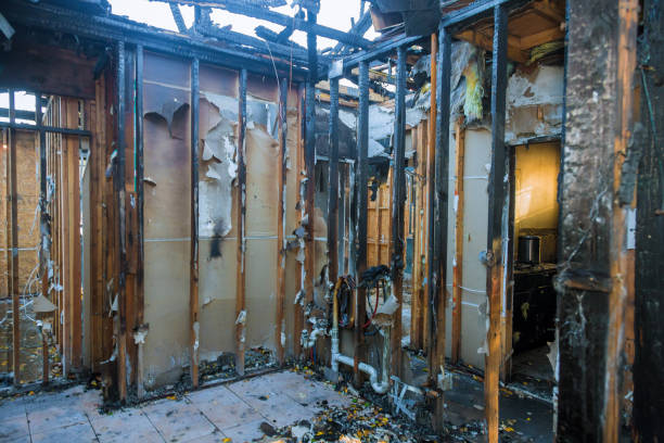 Professional Smoke Damage Removal technician working in Carlinville, IL